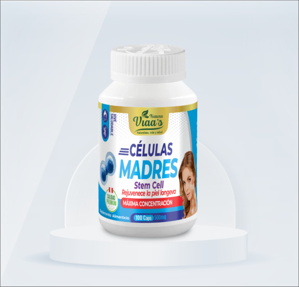 Celulas madres